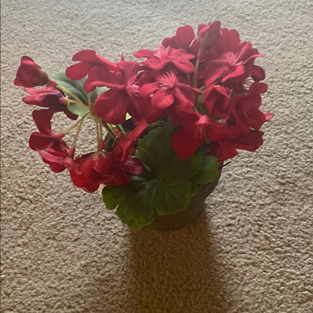 Elegant Red Floral Arrangement
